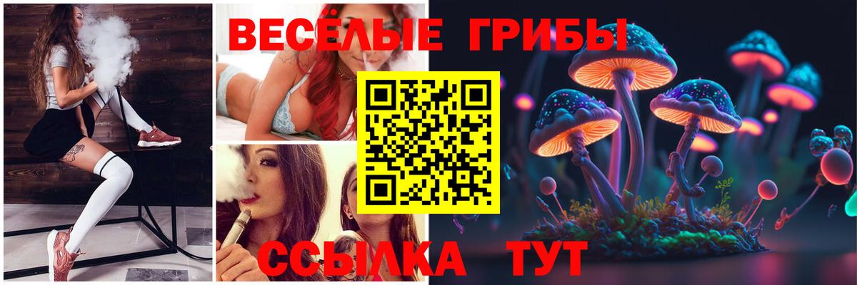 Псилоцибиновые грибы Psilocybine cubensis Чистополь