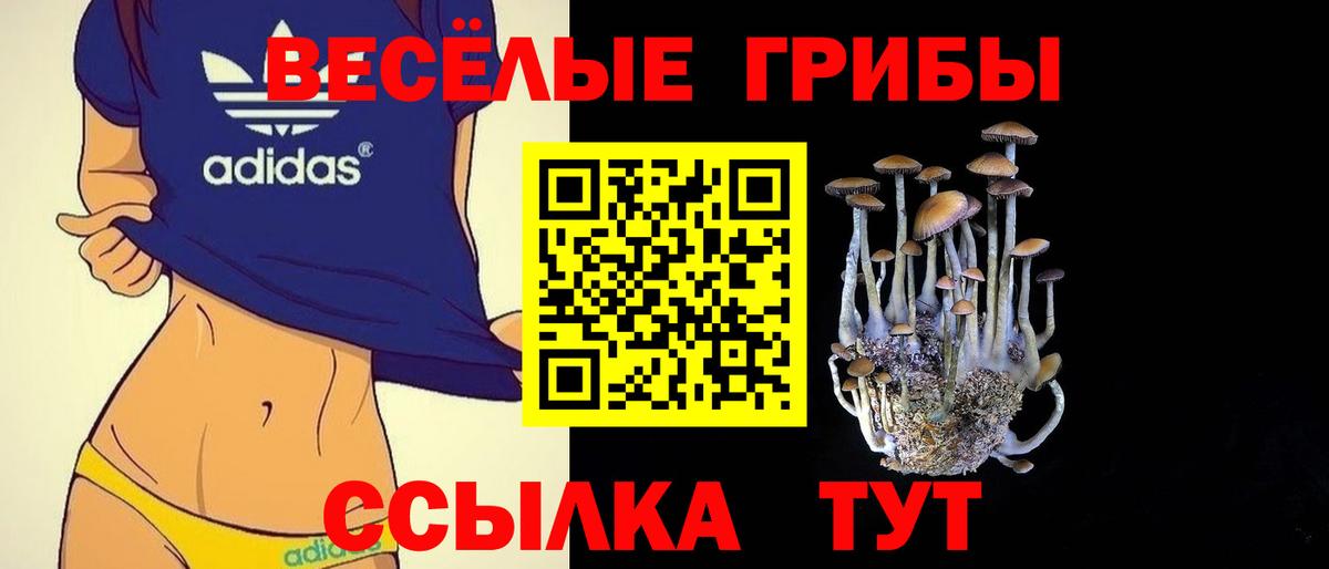 Псилоцибиновые грибы Magic Shrooms  Галлюциногенные грибы MAGIC MUSHROOMS  Чистополь  Вход с VPN 